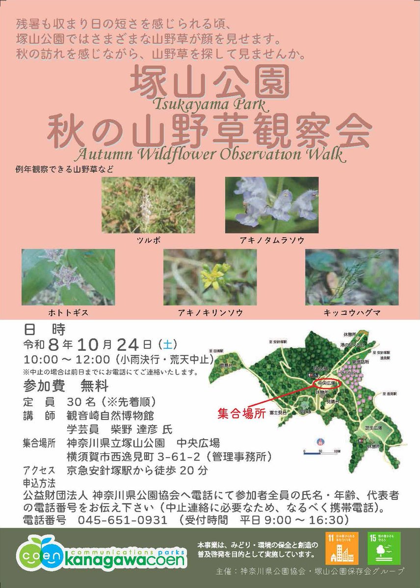 tsukayamapark's tweet photo. 塚山公園　秋の山野草観察会　開催！
令和8年10月24日（土）10：00～12：00の間、塚山公園に自生している山野草の観察会を実施します🌿
先着30名までになります！お申込みはお早めに！
#塚山公園　#自然観察会　#山野草　#秋の公園　#草花観察 https://t.co/SXUTCatYgo