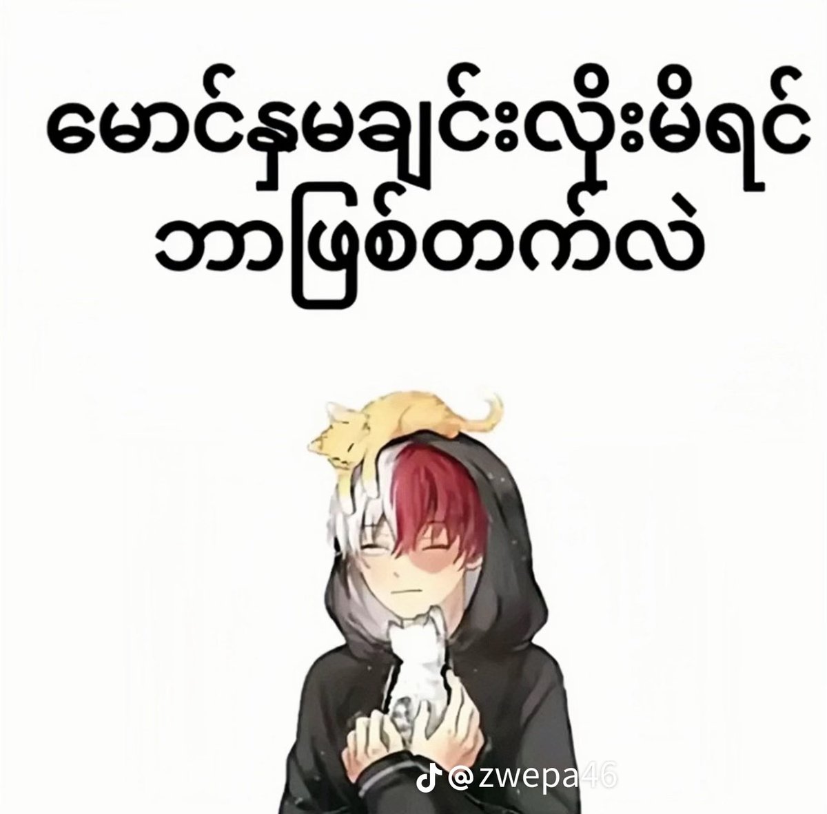 KyawKyawyxxa's tweet photo. https://t.co/8V1mitkExL