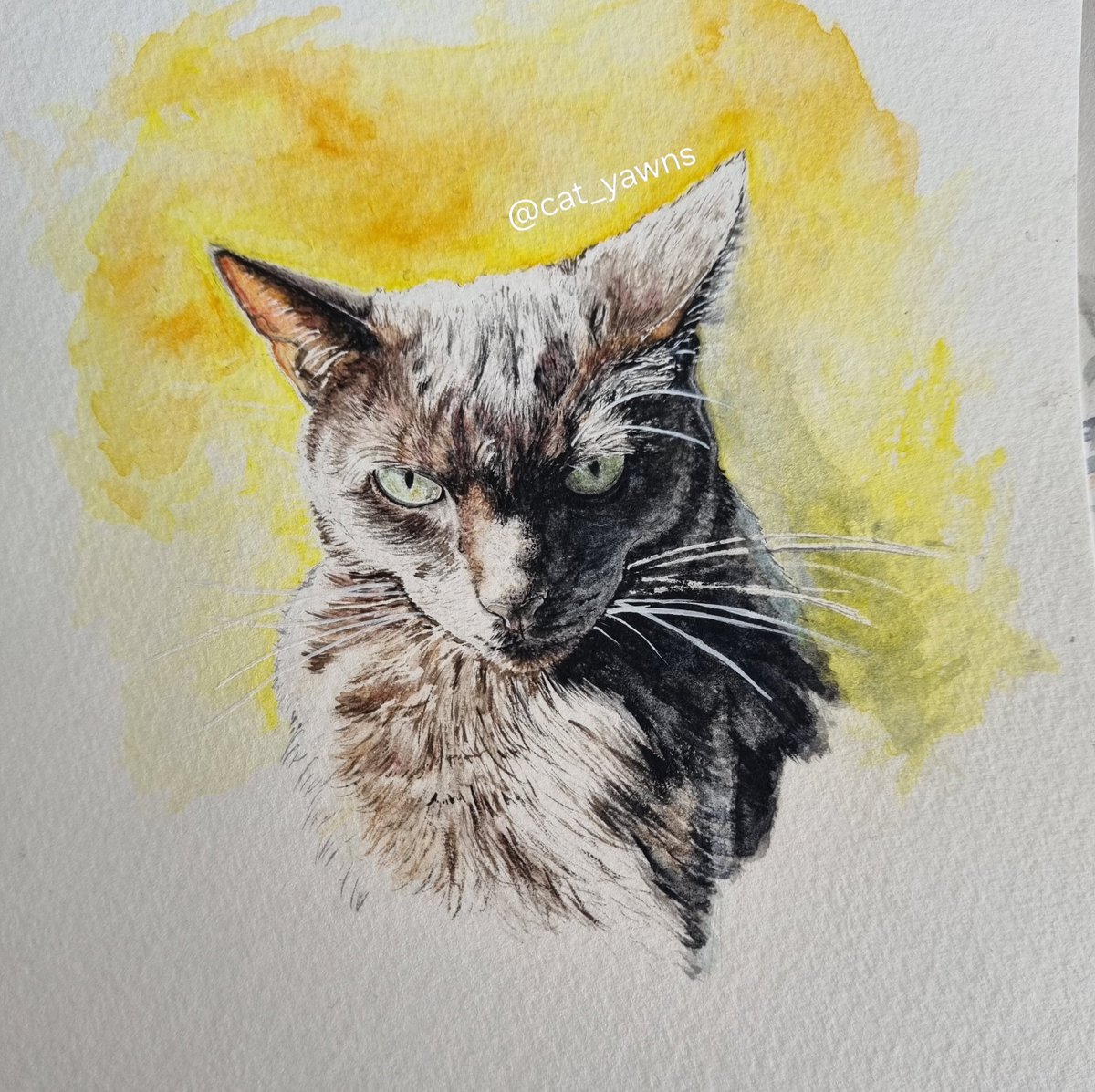 cat_yawns's tweet photo. New Nocturne painting https://t.co/ds1ba5E3c9