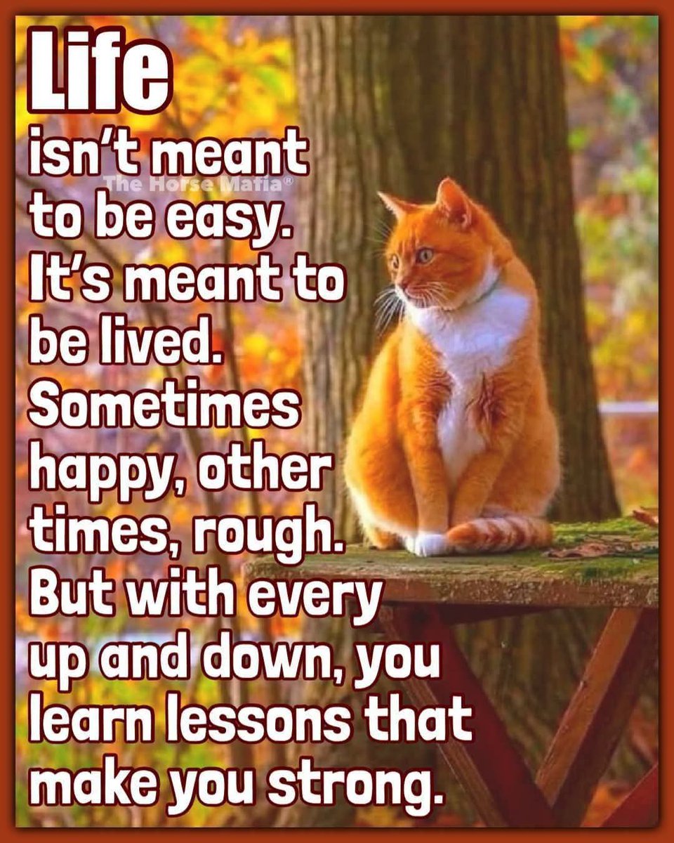 MollyTamraz's tweet photo. https://t.co/6cDNjJt1EP