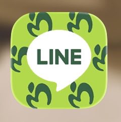 mga_mycb's tweet photo. LINEのアイコンミセスになった！嬉しい🙌 https://t.co/eIyDMj1POv