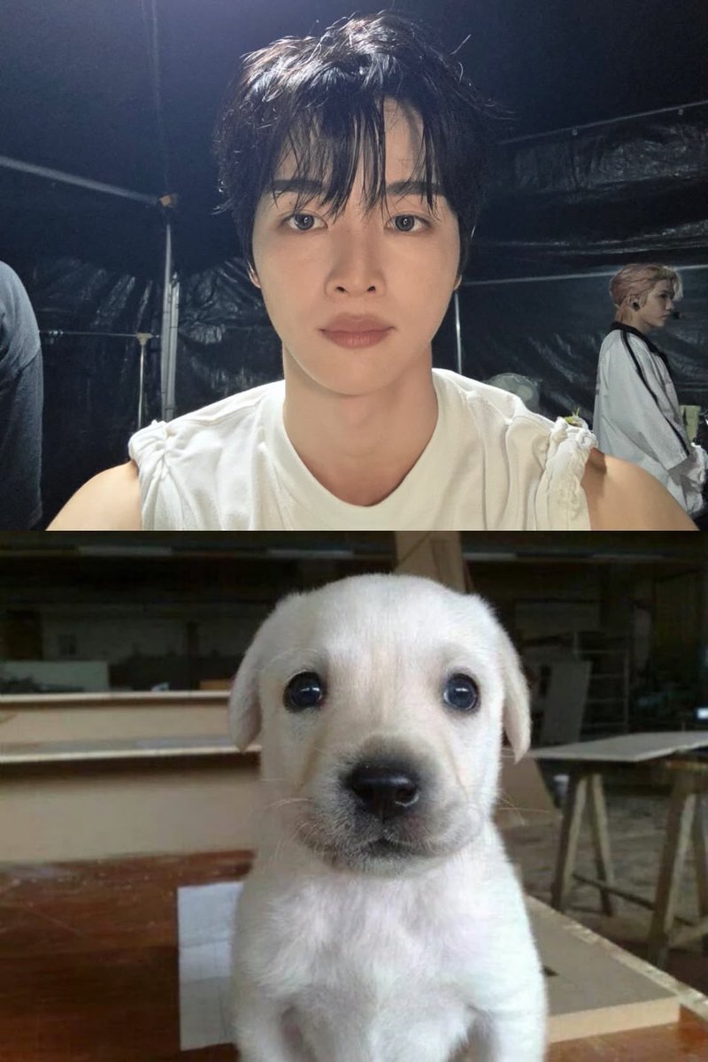 buhehe913's tweet photo. 뚱 https://t.co/nfH75rmJFK
