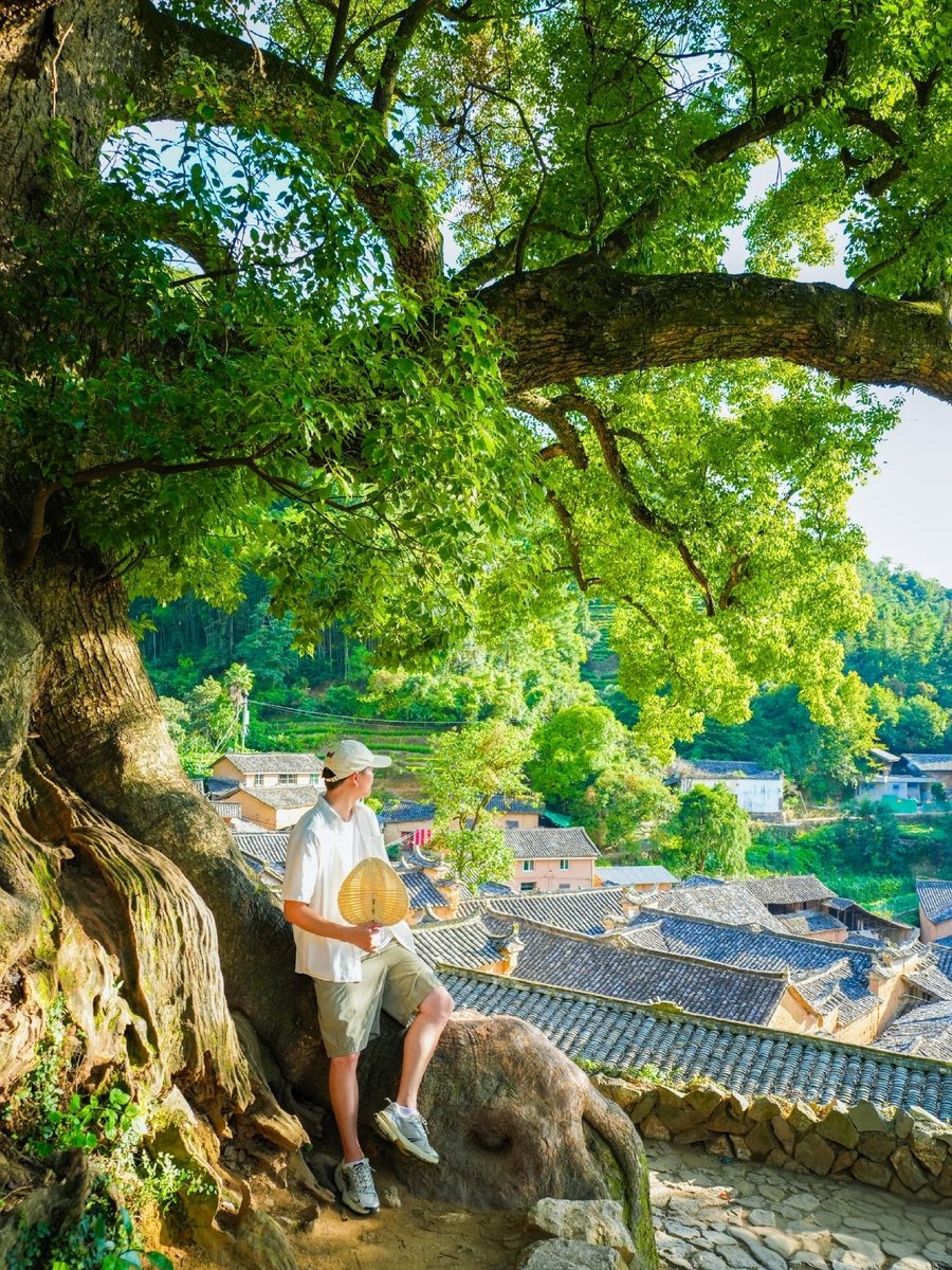zhileibao's tweet photo. "Just old trees and a quiet village. Stepping away from the city noise is the best therapy for the mind. 🤍🌳"#HealingVibes   #AncientVillage   #NatureTherapy   #SlowLiving https://t.co/5fIe1ymEtd