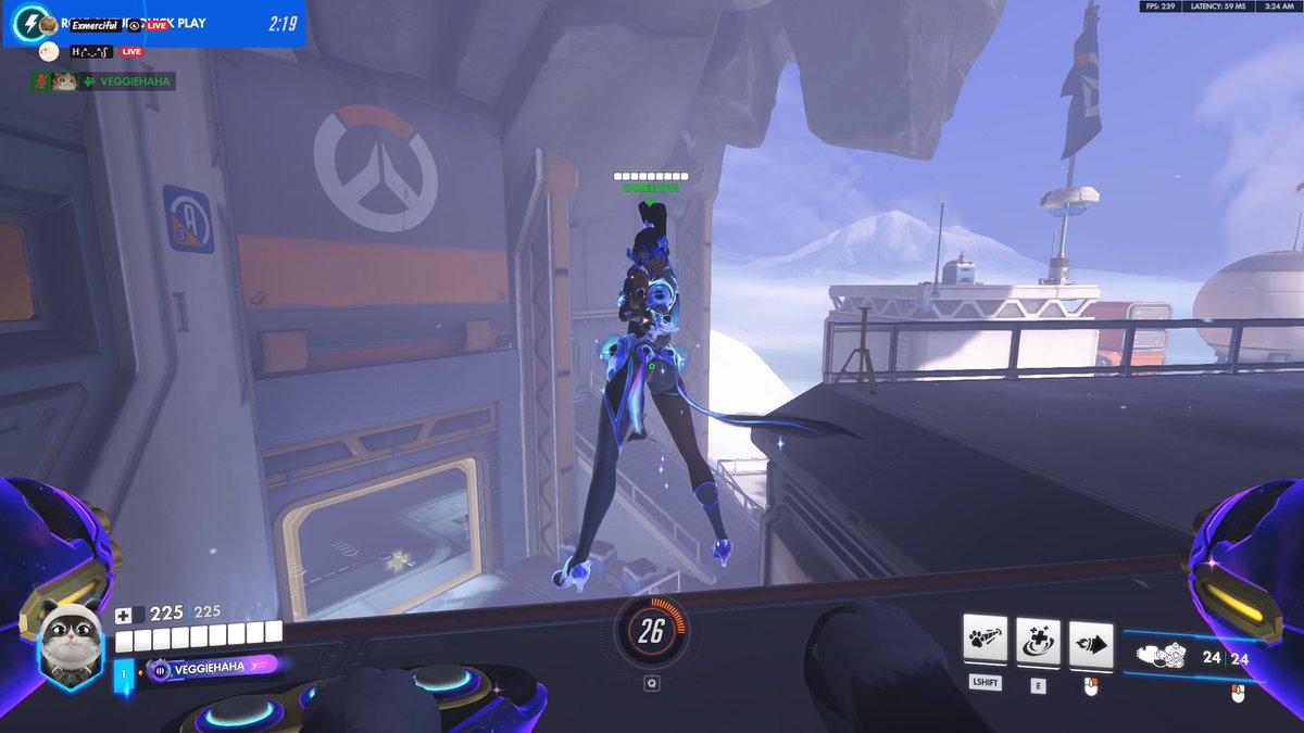 veggiehaha's tweet photo. is widow an owl wtf is this https://t.co/GkGWAk92RS