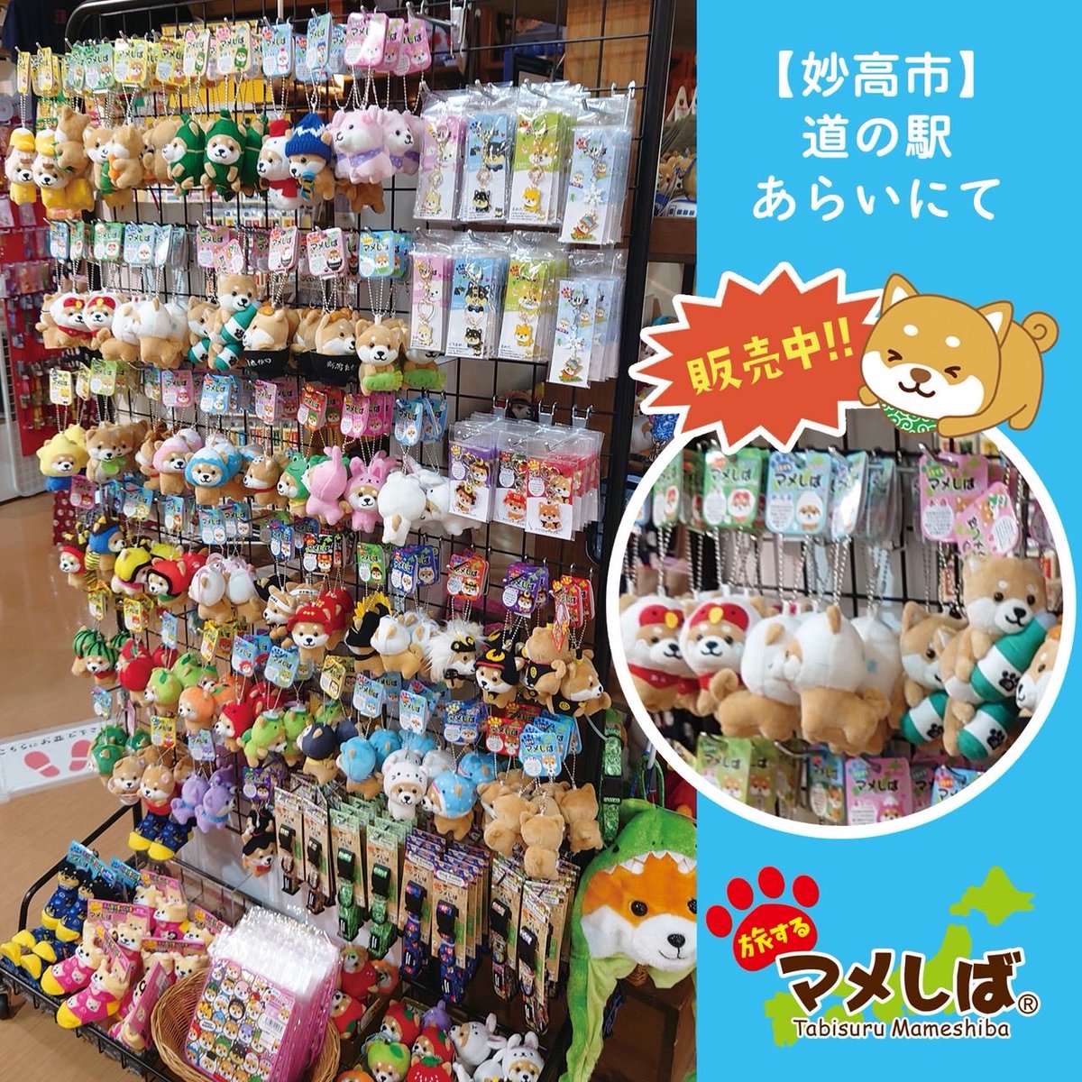 tabi_mameshiba's tweet photo. ✨NEW✨
旅するマメしば🌾新潟シリーズのご紹介🐕
⁡
🌾新潟米.ver【新潟限定】
🌾新潟米袋.ver
⁡
🟡新潟米袋.ver
10月中旬より販売開始です！
ぜひ探してみてね🐕
⁡
★販売店舗★
【新潟市】新潟ふるさと村
【妙高市】道の駅あらい
【佐渡市】佐渡汽船両津港売店

#旅するマメしば https://t.co/wFH9PoWBUs
