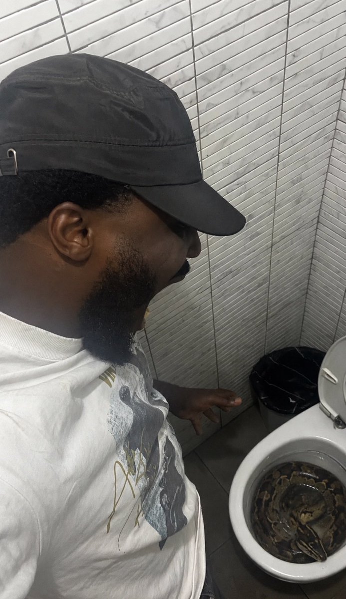 drharveee's tweet photo. Found a snake in my toilet this morning and it’s a pregnant one sleeping, what should i do? https://t.co/dWCGqjpURd