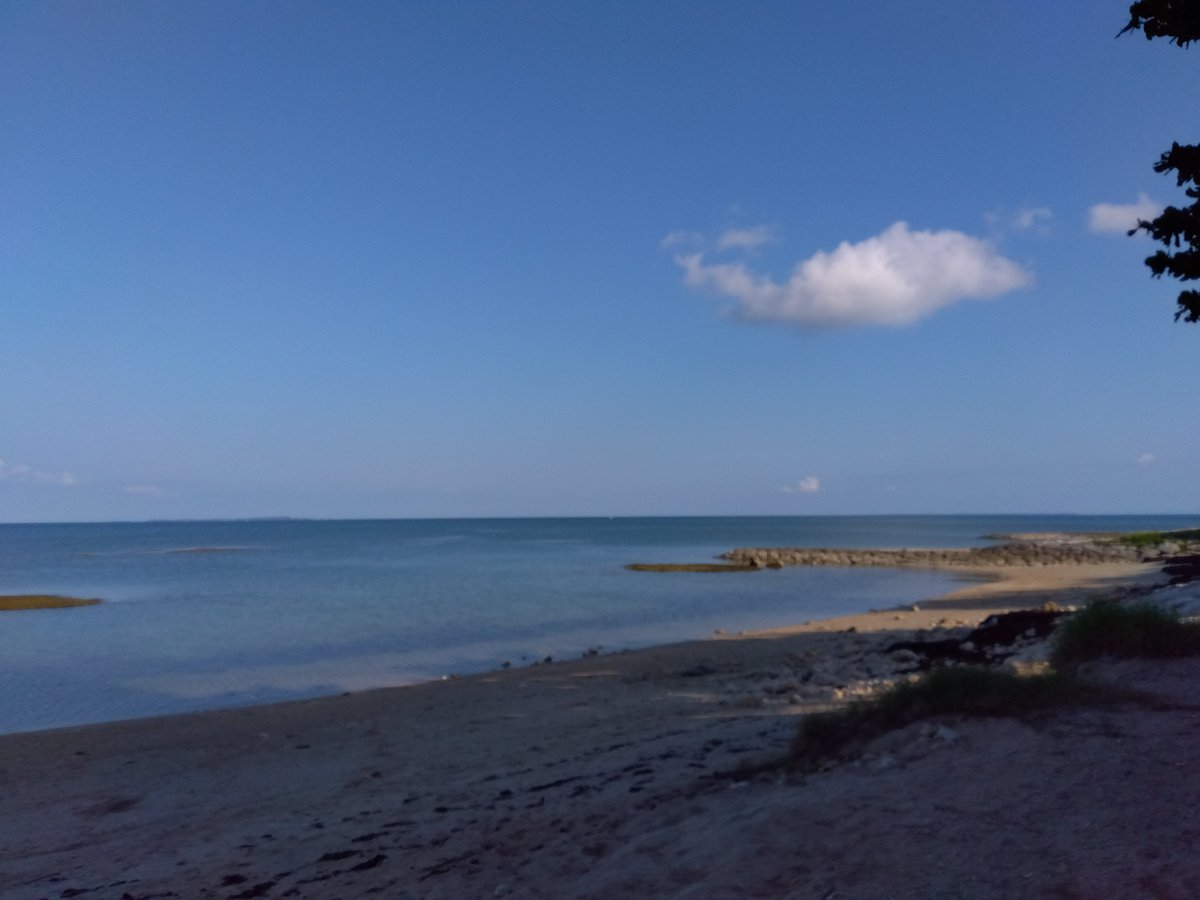 Sei2Seisei's tweet photo. 夏ももう終わりですね https://t.co/kbnbT6J4ay