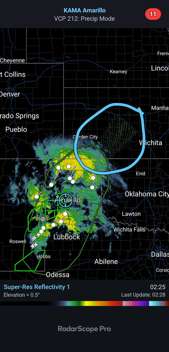 Mercyswolf_wx's tweet photo. So my friends in the #meteorology community. I was looking at Amarillo's radar and saw this. What do you propose it is? https://t.co/QF5SgJ1k0H