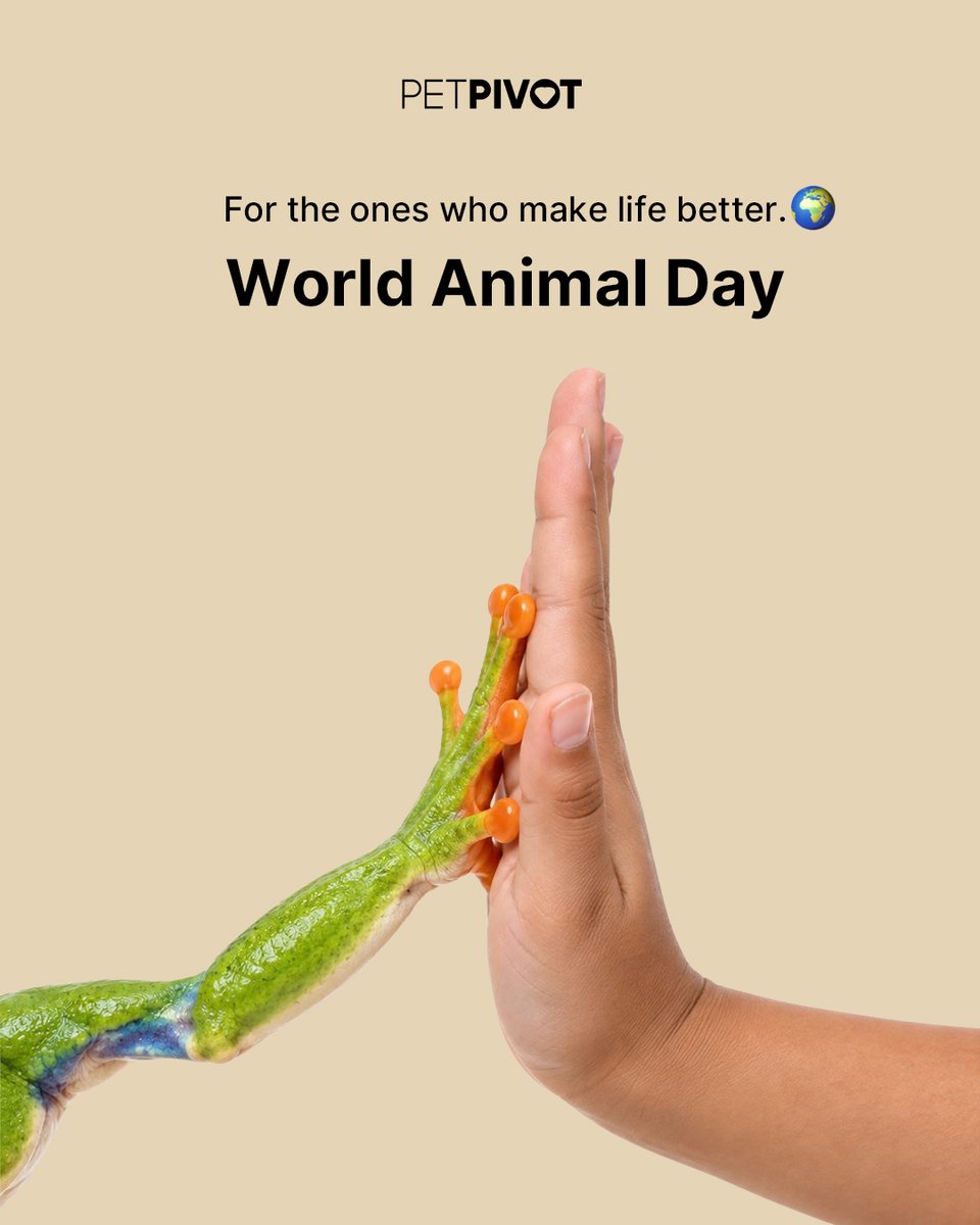 petpivot's tweet photo. Life’s just better with animals in it. 🐾🧡
Happy World Animal Day to the ones who make our homes happier, our days brighter, and our camera rolls way too full. Show us the animal who makes your world better. 👇
#worldanimalday #petpivot https://t.co/XWv9LBZxj7