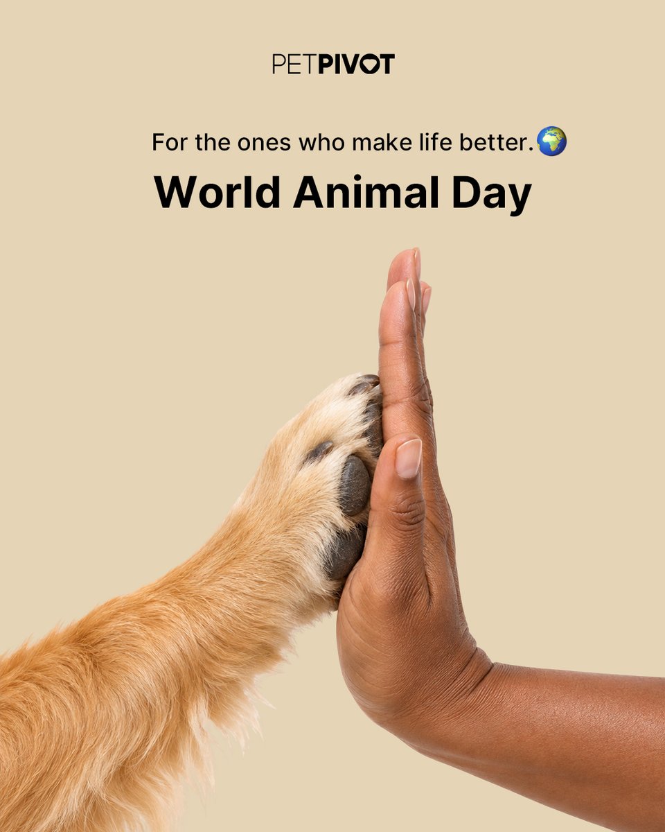 petpivot's tweet photo. Life’s just better with animals in it. 🐾🧡
Happy World Animal Day to the ones who make our homes happier, our days brighter, and our camera rolls way too full. Show us the animal who makes your world better. 👇
#worldanimalday #petpivot https://t.co/XWv9LBZxj7