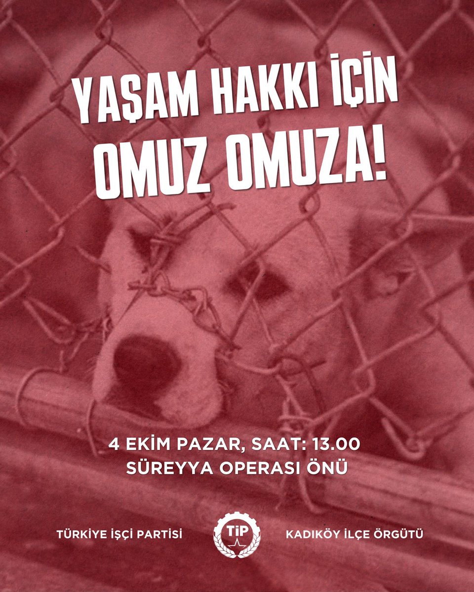 tip_kadikoy's tweet photo. Yıllardır sokaklarımızı paylaştığımız dostlarımızın yaşam hakkı, ne iktidarın nefret ve katliam politikalarına ne de belediyelerin bütçe hesaplarına terk edilemez! Ortak yaşamı savunmak ve bu katliam yasasına hep birlikte dur demek için 4 Ekim Pazar günü saat 13.00’te Süreyya Operası önünde buluşuyoruz. Tüm yaşam hakkı savunucularını sesimize ses katmaya bekliyoruz!