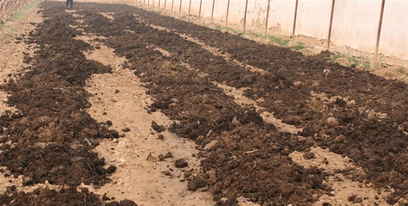 grvjere431's tweet photo. A new look at farmyard manure brings fresh ideas for sustainable planting. https://t.co/OKYNCFw3b3