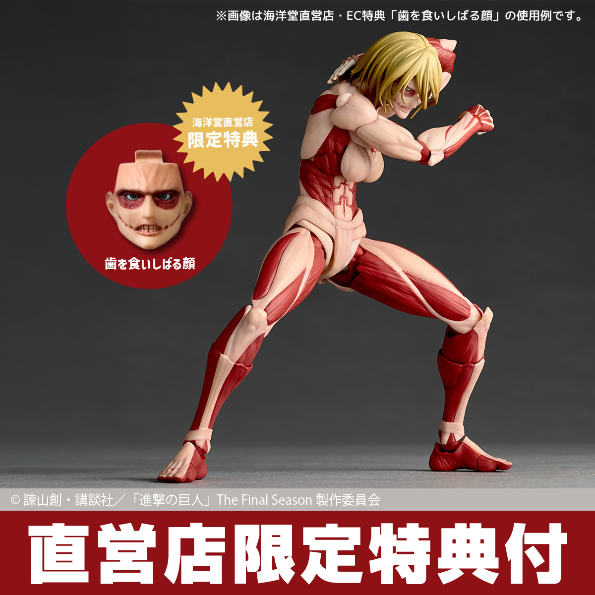 kaiyodo_PR's tweet photo. 【ご予約開始📢】

リボルテック アメイジング・ヤマグチ　女型の巨人（2027年再販）が、本日12:00より予約開始‼️

ご予約はこちらから🔽
https://t.co/fULPjkG3Fw

海洋堂直営店で予約すると特典として、「歯を食いしばる顔」が付属❗

原型制作：坂本翔太郎
造形総指揮：山口勝久
価格：9,350円（税込）
発売日：2027年7月予定

#進撃の巨人 #海洋堂