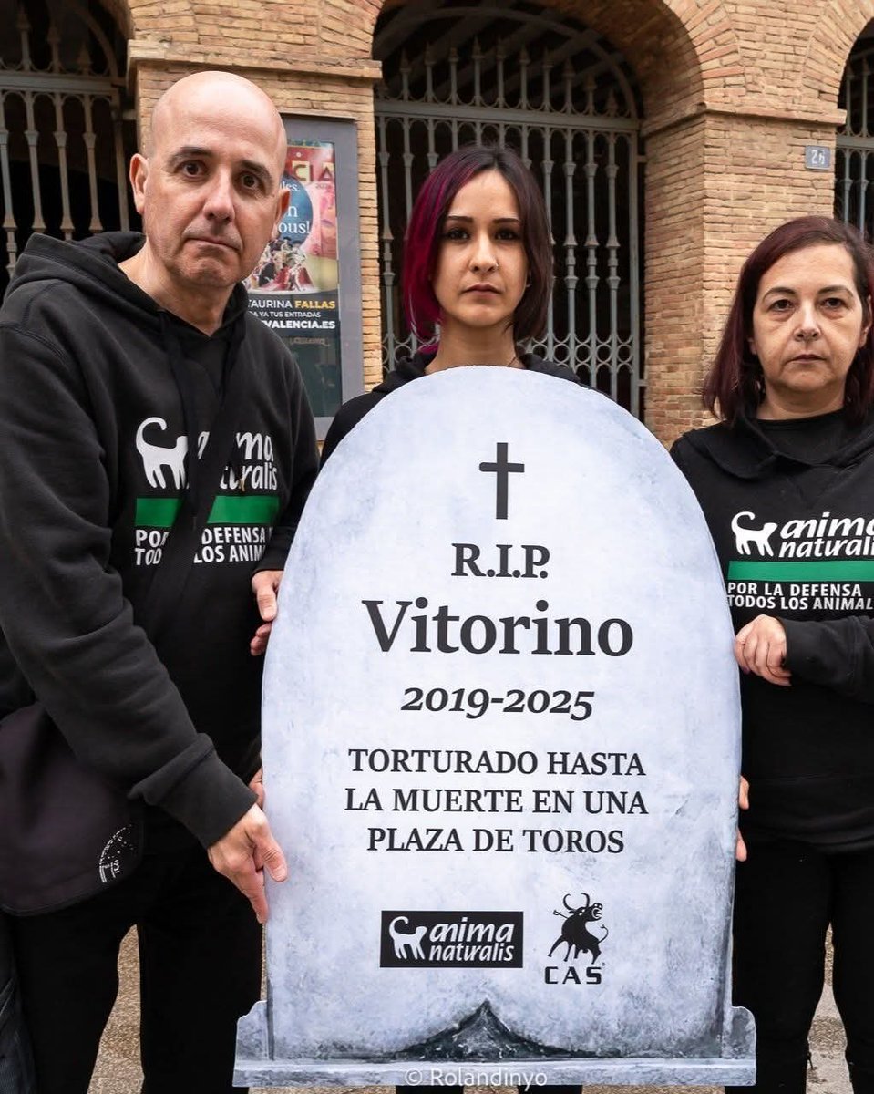 AnimaNaturalis's tweet photo. ⏳ ¡ZARAGOZA, FALTAN 2 DÍAS!

Este domingo estaremos en Zaragoza protestando contra la Feria Taurina de Pilares y necesitamos que seas parte de esta acción.

🗓 Domingo 11 octubre 2026
📍 Plaza de Nuestra Señora del Pilar, Zaragoza
⏰ 11h

👉 Únete ahora: https://t.co/63UPSYRcUo