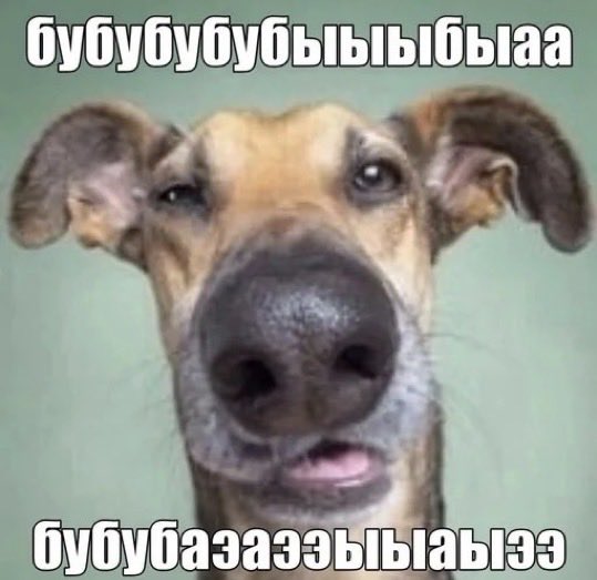 rheaabx's tweet photo. доьрое утро,бляха муха https://t.co/4ohWvwdpp5