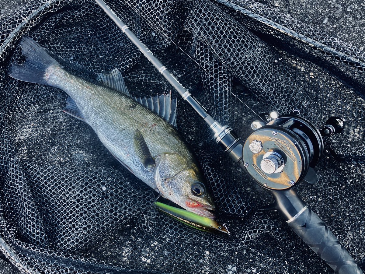 CrossOver12_Abu's tweet photo. 壁際でポンとフッコサイズ🎣

#シーバス
#ラフダイバー90F https://t.co/Ez5yNrlltO