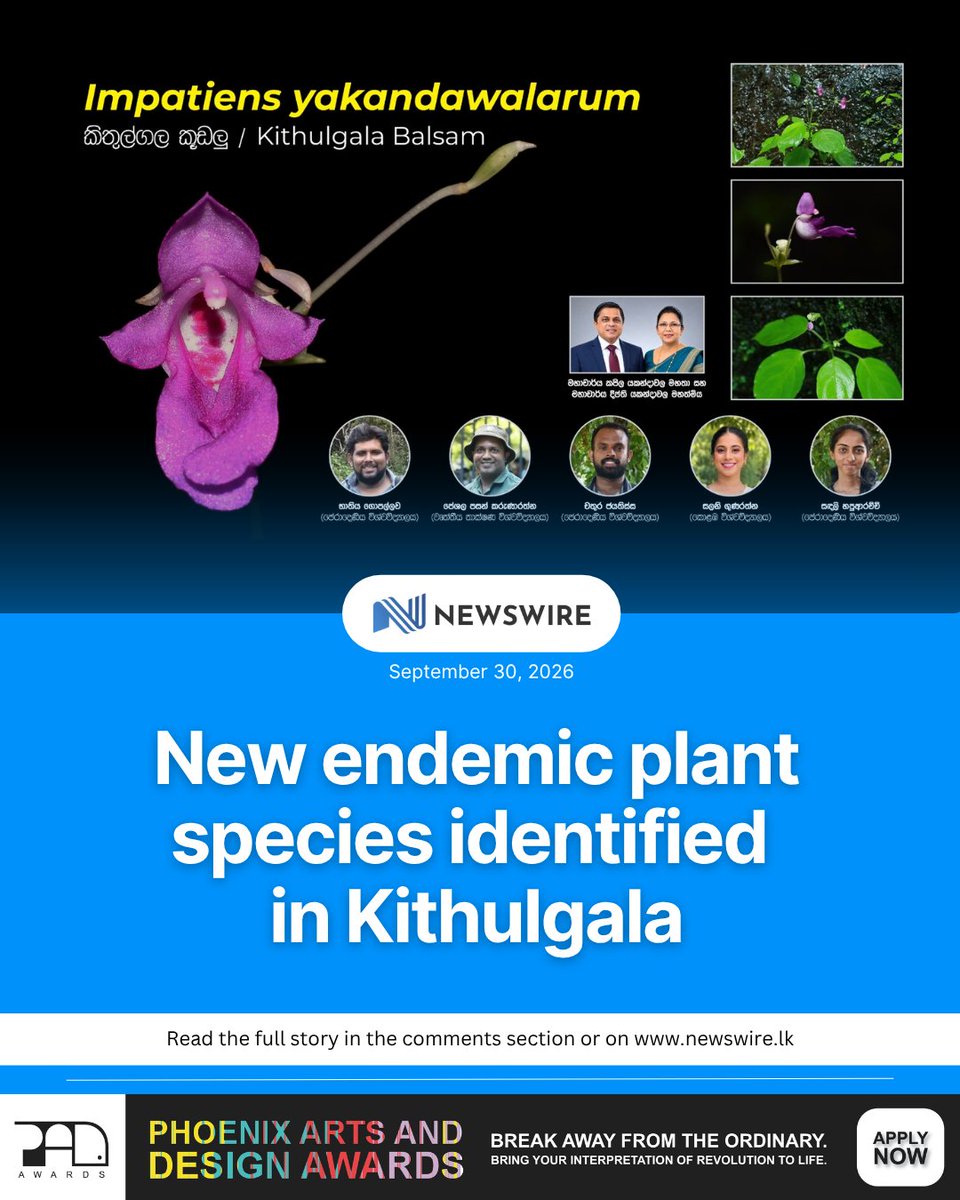 NewsWireLK's tweet photo. New endemic plant species identified in Kithulgala

Full Story: https://t.co/gEQPmkDRP2 https://t.co/uPfcvQGigU