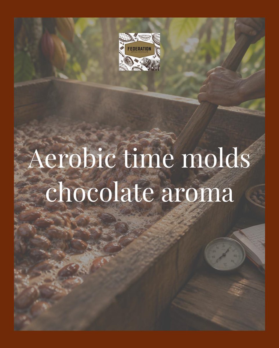 TassieFudgey's tweet photo. Fact: a longer aerobic phase in fermentation boosts fruity ester compounds; very short aerobic times favor roasted, nutty notes. We lengthen that window with our partner farms for fruit-forward single-origin nibs. #Chocolate #FoodScience Tap the link in bio. https://t.co/ZAXdanHFos