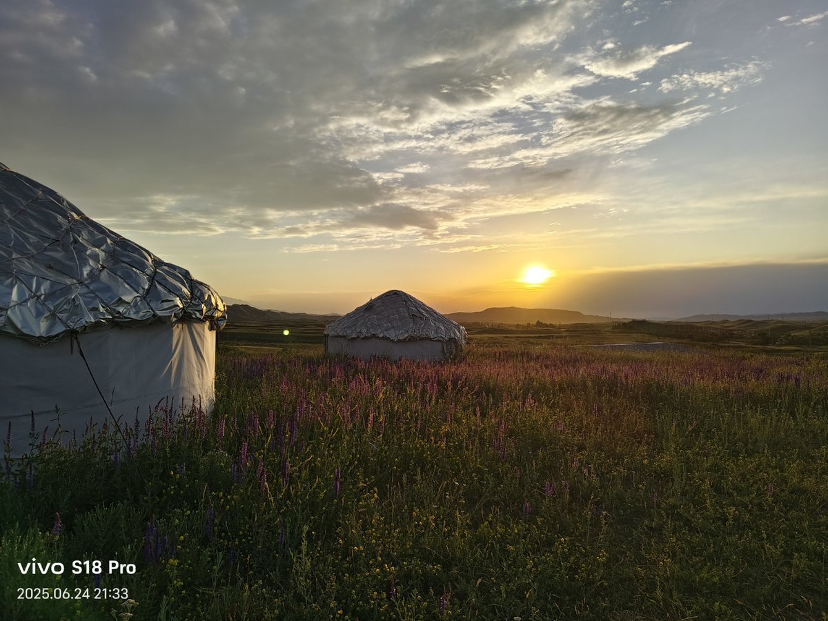 thoma_quix205's tweet photo. [Morning breeze blows over the pastoral grassland, villagers' clay pots simmer bacon, and the yurt's warm glow makes this a true home of heroes.]， https://t.co/TyhHB7gzQu