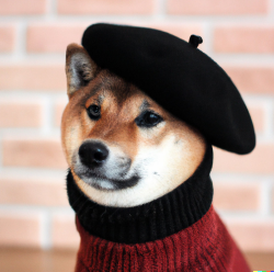 czs_fortune's tweet photo. IN THE OFFICIAL OPENAI PAGES THERES AN INU

https://t.co/j5zSL1wf0r https://t.co/Km2VRkAcrp
