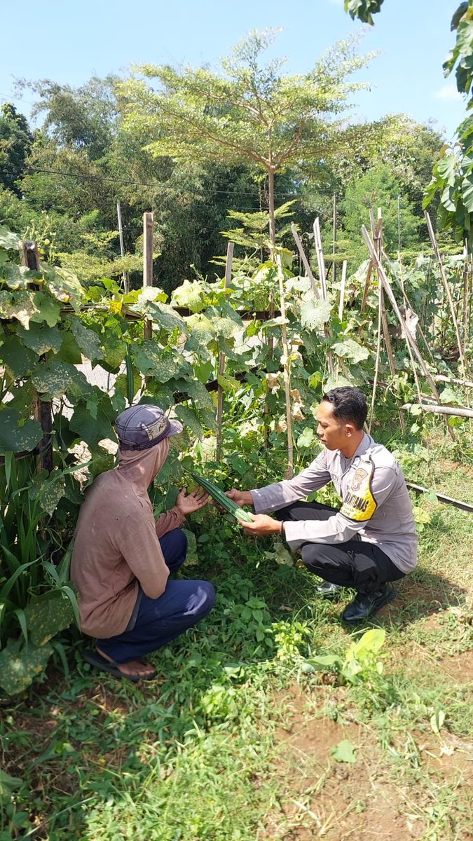 DhadhangY's tweet photo. Bhabinkamtibmas Ds. Tulakan Polsek Sine, sambang sekaligus monitoring petani ceme, Kec.Sine, Kab. Ngawi.
#AstaCita #SwasembadaPangan #KetahananPangan #P2B #KetahananPanganPoldaJatim #SSDMPOLRI #DivHumasPolri #BidhumasPoldaJatim #PolresNgawi #Ngawi #PolisiUntukMasyarakat https://t.co/nB6K2CShBz