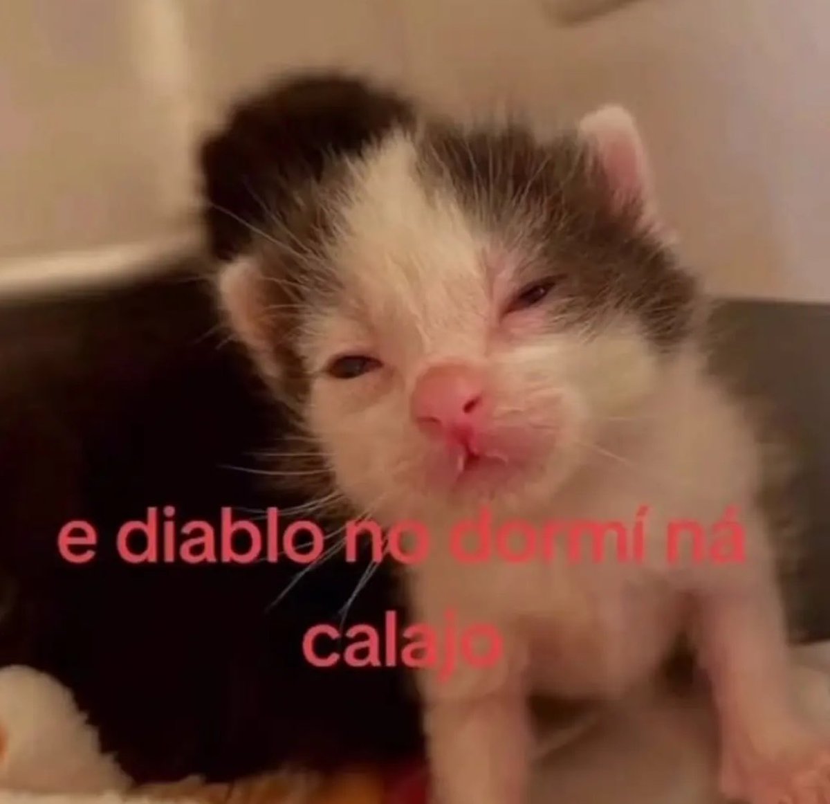 skereunpesado's tweet photo. https://t.co/XtJQlocWYG