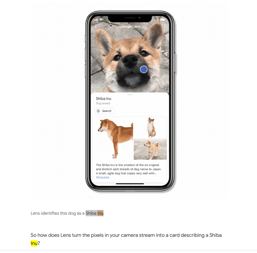 czs_fortune's tweet photo. Google literally have an INU posted up on their website as an example and someone it has never been done before

https://t.co/0GbbS6wk0a https://t.co/JGkgtlFFxQ