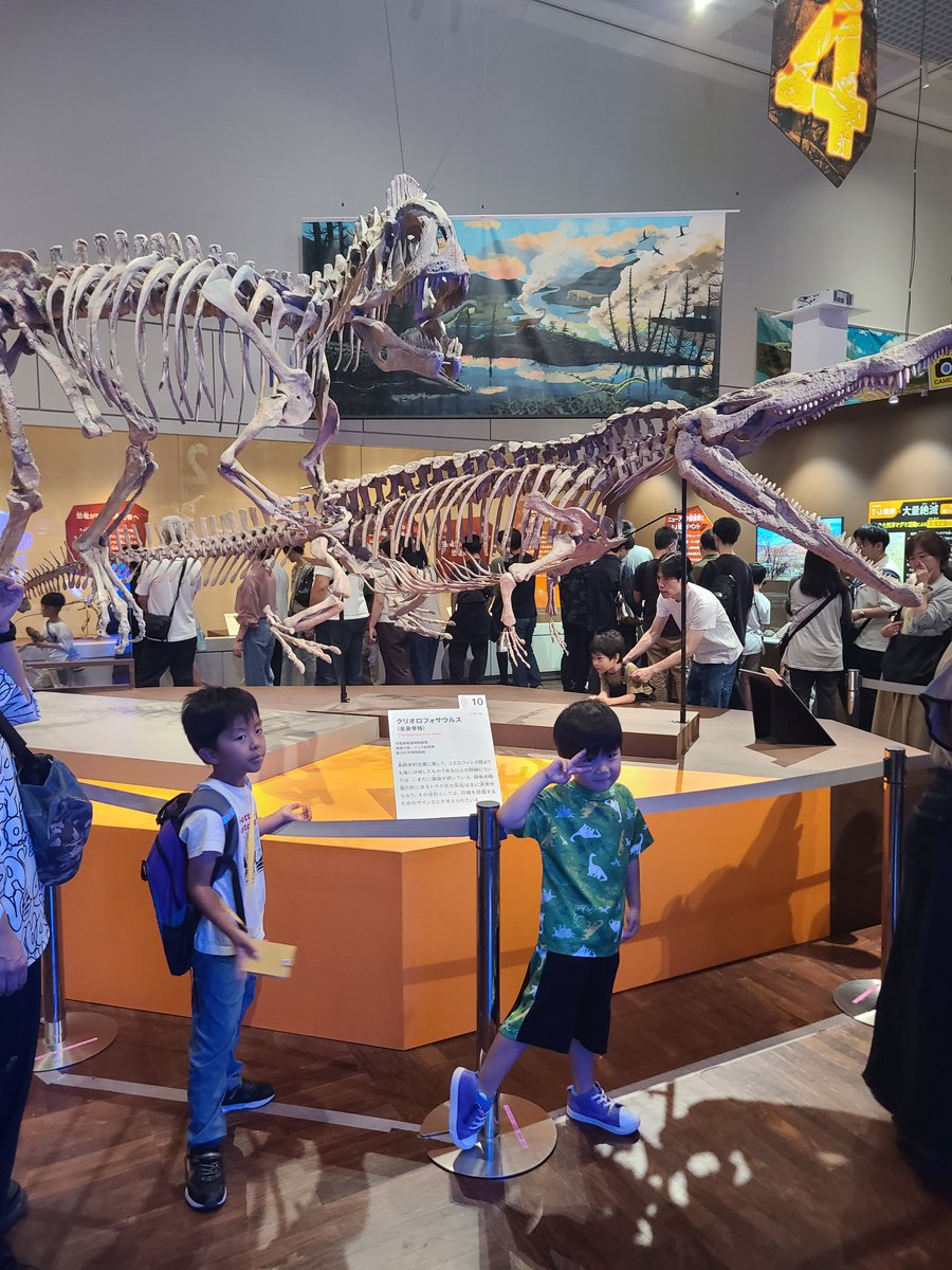 kenshou8888's tweet photo. 健真と「大絶滅展―生命史のビッグファイブ」行ってきました🦕🦖 https://t.co/j67SyQpdlf