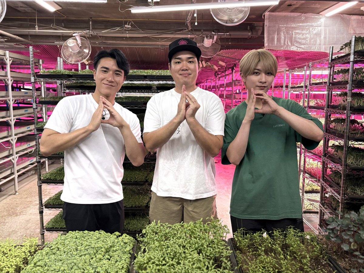 ntv_DayDay's tweet photo. 10/1(木)の #DayDay.  
まもなく朝9時スタート⏰

◆曜日メンバー
🕺佐藤大樹 （#FANTASTICS）
@fantastics_fext @taiki__official 

��住岡佑樹アナ 農業企画🧑‍🌾
with #本髙克樹(B&ZAI)
誰でもできる都市型農業
@sumioka_yuki 
#BandZAI @jr_official_X

◆ゲスト
🚄松尾太陽(#超特急) @sd_bt 
『秘密のケンミンSHOW極』
@kenmin_kiwami 

◆Dotti-Dotti👀
仁村紗和 @1013sawa 
ドラマ『ダウト-15年目の復讐-』
@doubt_ytv 

◆ゲスト
🐼早乙女玄馬
アニメ『らんま1/2』@ranma_pr 

@ntv_dayday をフォロー
皆さんの注目ポイントを
リプライ欄で教えてください💬
