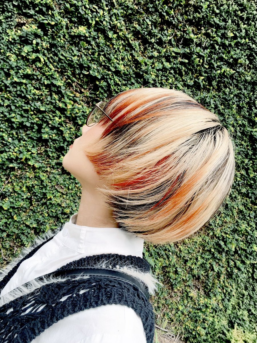 RRReol's tweet photo. 紅葉した🍁🍂 https://t.co/d9InQ1YHKY