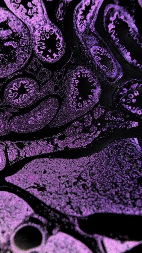latestincosmos's tweet photo. JUST IN🚨: According to Research, the more we focus on beautiful things, the more the brain gets used to seeing beautiful things. https://t.co/HNQfwDc9sb
