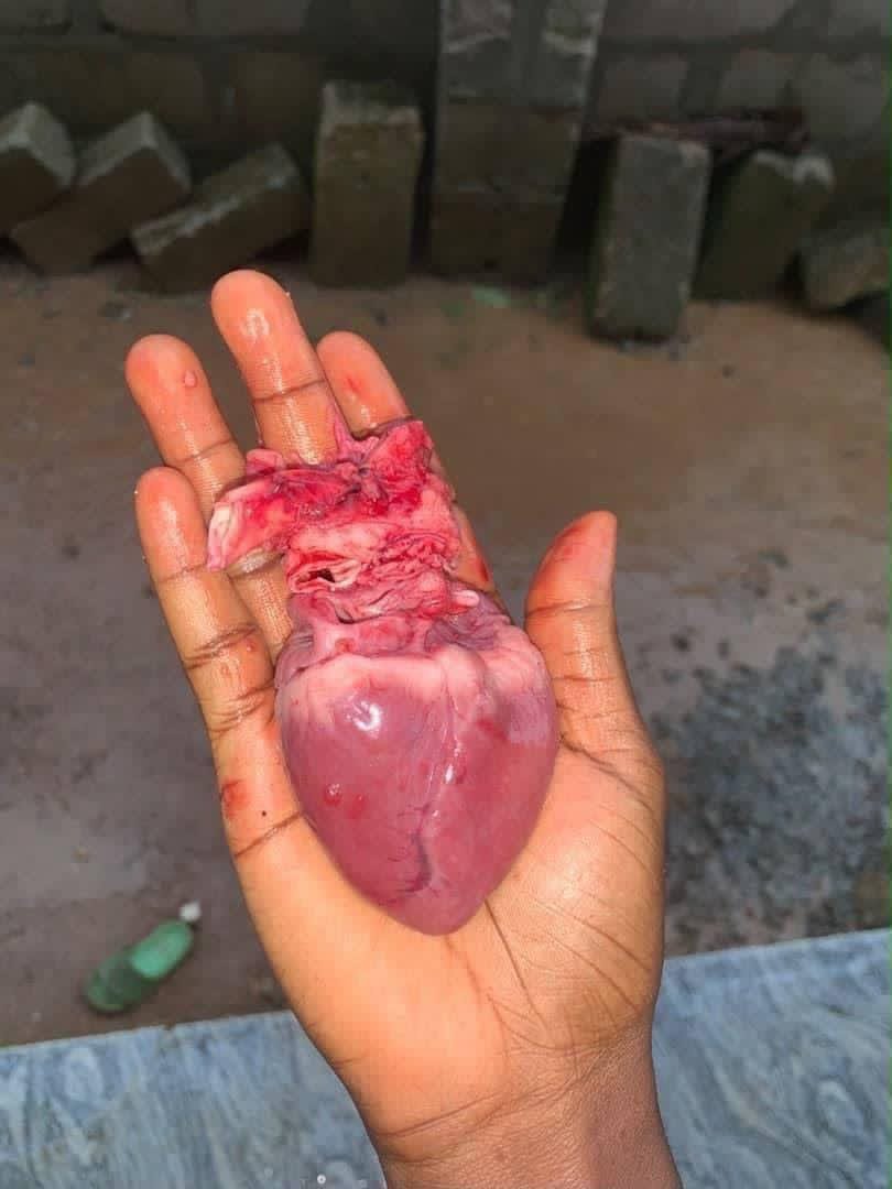 Armkalegit's tweet photo. I don finally comot my heart...

No Love lost...No love Found🥺 https://t.co/EbSESgc5ei