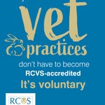 Photo by young veterinary (@youngveterinary)