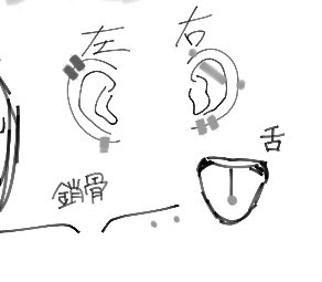 ofacvg's tweet photo. たむたむのピアス位置 https://t.co/0VINHHcbfJ