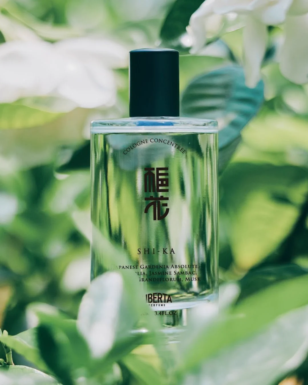 公式】Liberta Perfume(リベルタパフューム) on X: 