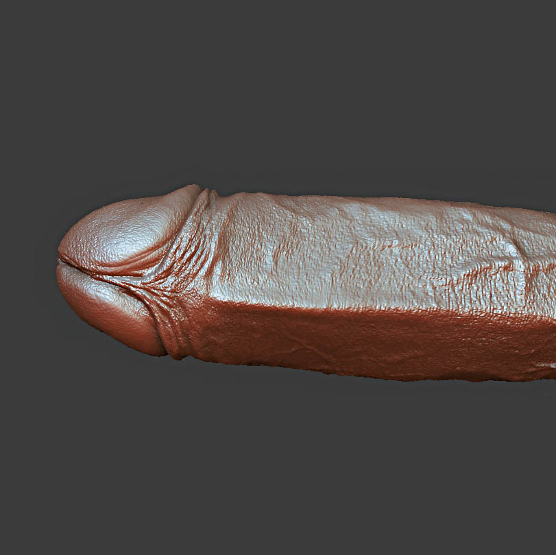 MaryTheNun2000's tweet photo. Symmetrical  penis
#3DPrinting #3DPrint #3DModel #3DModeling #3DArtist #3DDesign #STL #STLFile #3DPrintable #3DPrinted #DigitalSculpting #ZBrush #ResinPrinting #3DArt #AdultArt #NSFWArt https://t.co/ZchTy6Byee