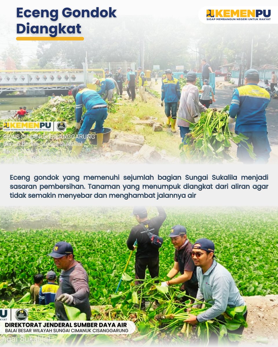 BBWSCimanuk's tweet photo. Eceng gondok yang menutup sebagian aliran Sungai Sukalila kembali dibersihkan. Sebanyak 21 personel BBWS Cimanuk Cisanggarung turun menyisir sungai dan mengangkat tanaman yang menumpuk di sejumlah bagian 

#sigapmembangunnegeriuntukrakyat
#mengelolaairuntuknegeri
#bbwscimancis https://t.co/oMfO7V7aH4