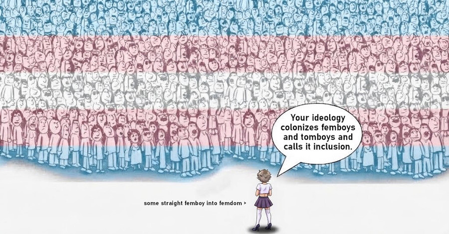 ObviousRises's tweet photo. Nothing disturbs me more than the Left's woke agenda to groom tomboys and femboys into being trans JUST because they don't look/act stereotypically to their gender, believe it or not MOST are straight, its a travesty.

The anti tomboy and femboy agenda MUST be stopped. https://t.co/ipy0r6VSha