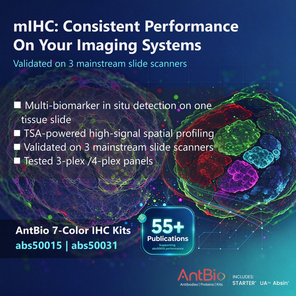 AntBio_'s tweet photo. Explore cross-platform mIHC validation data.

The technical article covers TSA-powered multiplex fluorescence IHC, validated on 3 mainstream slide scanners for multi-biomarker spatial profiling.

Read full article at the link below.

#mIHC #SpatialBiology #ImmunoResearch #AntBio https://t.co/vDU66bqqzI