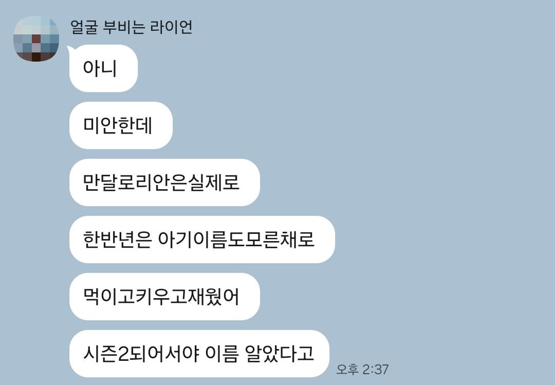 b_cha_'s tweet photo. 감동실화

실은 똑같은 애기 두개 생겨서 만달 좋아하는 다른 친구 주러 들고간거였는데..생각보다 너무 크다고 해서(크긴해) 다시 집에 들고 돌아왔거든

잘됐다 로구야 https://t.co/HpfKLzKsWv