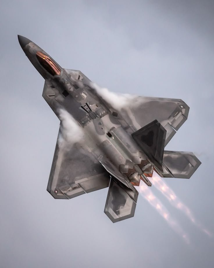 LineroTifon's tweet photo. F-22 Raptor de la USAF. https://t.co/M58zttjTuP