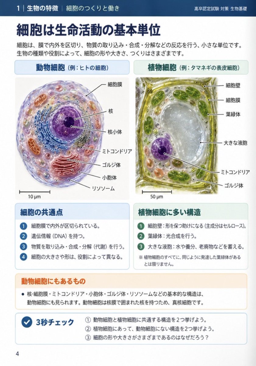 Departure_11's tweet photo. 高卒認定「生物基礎」の範囲完全ガイドを作りました📖

無料で公開しています。

高卒認定ワークブックをやった人におすすめです！ワークブックだとカラーがないので、こちらを見ていただくといいかもしれません✨

「生物基礎、何から勉強すればいい？」という方の参考になれば嬉しいです。

引用元よりご覧ください。

高卒認定『情報Ⅰ』のガイドもありますので、是非過去のポストよりご確認下さい。

#高卒認定 #高卒認定試験 #高認 #中卒 #大人の勉強　#生物基礎 #大学受験