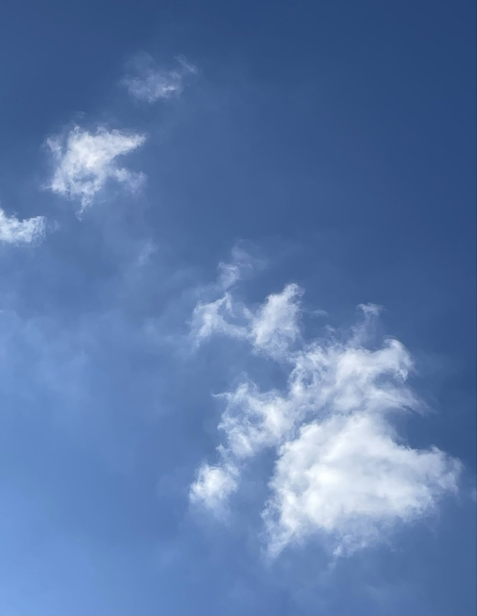 TooraMoo's tweet photo. こんにちは♪

今日で９月が終わるけど、やーっと青空が見えたよ😊

やっぱり☀️のお天気は、心が弾むね。
特になんて事ない日なんだけど、朝から体の動きが軽かったわ🙂

☂️が続いて、長い夏が終わって、知らぬ間に秋がきてるね。今年は、秋を楽しめるかな？

気温差があるので、体調気をつけようね😉 https://t.co/Kmw1cHJluF