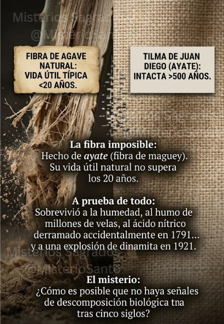 MisterioSanto's tweet photo. 🔔 La fibra de maguey dura máximo 30 años.
El manto de la Virgen de Guadalupe lleva casi 500 años intacto. https://t.co/UNFa0B4L1Z