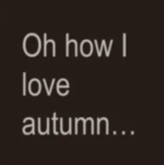Meowuiss's tweet photo. 🥮🍂 https://t.co/ZddeUzMOPB