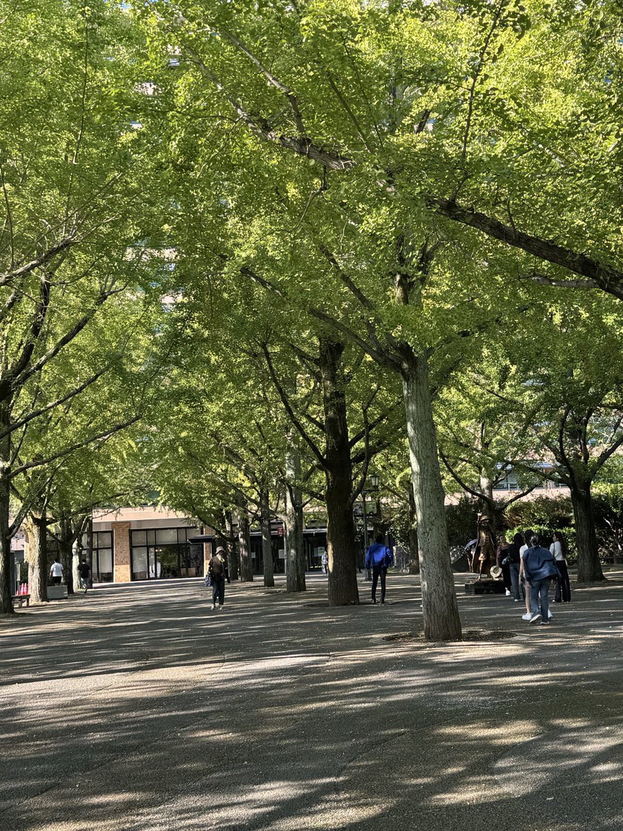 machilabjp's tweet photo. 2026年9月30日 熊本県庁

3日連続で担当課まわり。残すはあと僅か＋本日詳細発表のくまもと事業者再出発支援補助金の不明点のみ。何度も伺ううちに顔も覚えて頂き相談もしやすい関係に。今後の県との連携も進めやすくなりそうです。
ルフィ像にはいつも海外からのお客さん沢山で尾田先生には感謝です。 https://t.co/MqZIB9OVXX