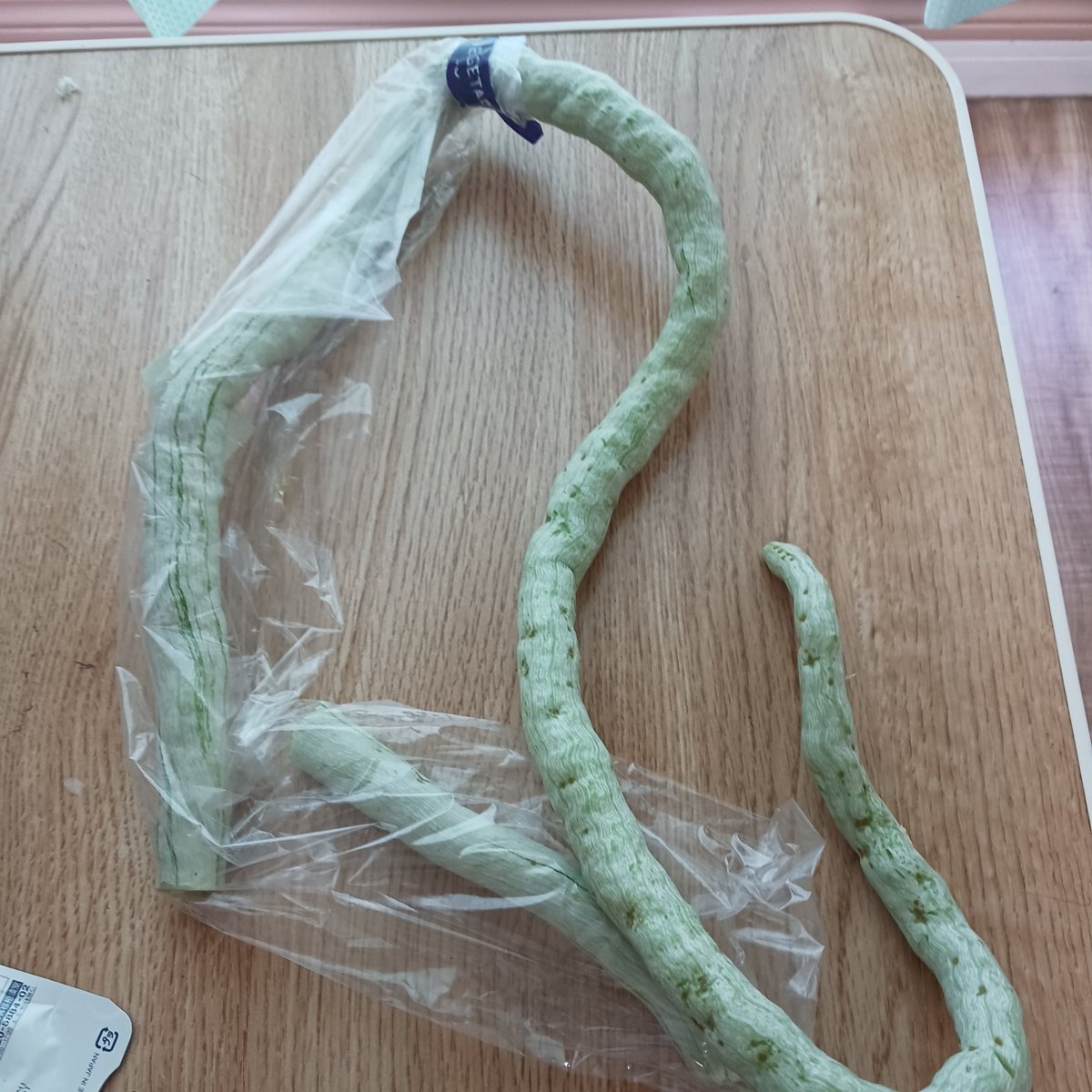 KIOHITOMI's tweet photo. 出勤3日目😃
職場で野菜を頂いた。
このウネウネ野菜、
実は瓜だそうです✨
初めての野菜😲

炒めて食べよ～👍
#片麻痺暮らし
#単身移住
#挑戦 https://t.co/r4JtTwD6qE