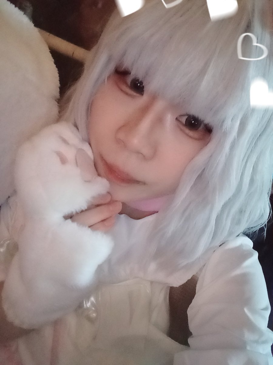 sta_2356's tweet photo. にゃおー https://t.co/TdblDEYrf3