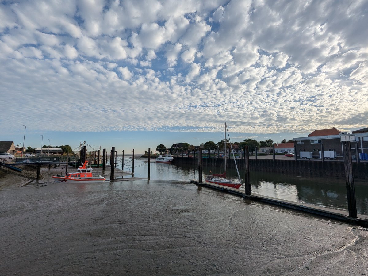 Nordwestroute's tweet photo. Moin aus Butjadingen.. #Fedderwardersiel #butjadingen #nordsee #wesermarsch #Burhave #tossens #eckwarderhörne #bremerhaven #Wilhelmshaven https://t.co/jbzAXaqZJb
