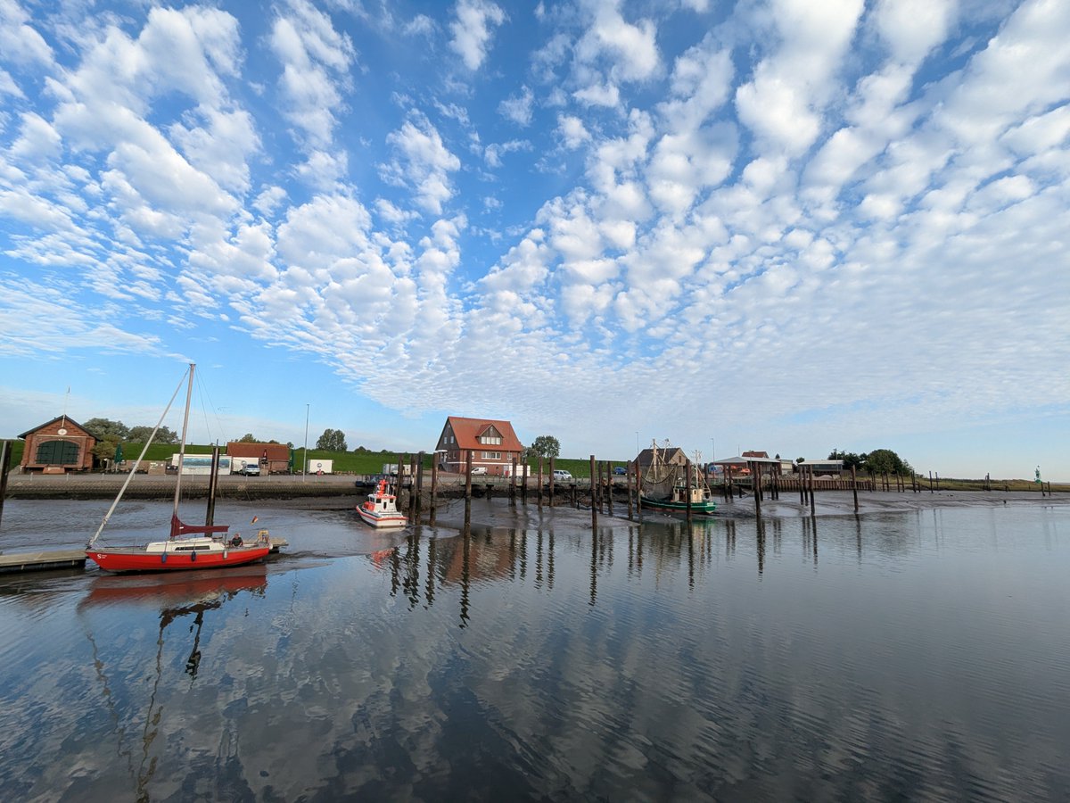 Nordwestroute's tweet photo. Moin aus Butjadingen.. #Fedderwardersiel #butjadingen #nordsee #wesermarsch #Burhave #tossens #eckwarderhörne #bremerhaven #Wilhelmshaven https://t.co/jbzAXaqZJb